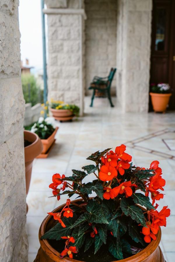 Veria Panorama Luxury Suite With Garden. Kültér fotó